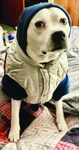 Editor's Notes: Hoodie weather starts the dash toward winter